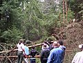 Натиснете снимката за да я уголемите

Име:DSCN6346.jpg
Прегледи:192
Размер:304.1 КБ
ID:5175712