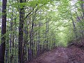 Натиснете снимката за да я уголемите

Име:DSCN6391.jpg
Прегледи:170
Размер:294.0 КБ
ID:5175738