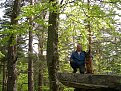 Натиснете снимката за да я уголемите

Име:DSCN6411.jpg
Прегледи:157
Размер:351.3 КБ
ID:5175749