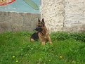 Натиснете снимката за да я уголемите

Име:DSC00719.jpg
Прегледи:151
Размер:215.8 КБ
ID:5175768