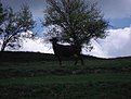 Натиснете снимката за да я уголемите

Име:DSC03195.jpg
Прегледи:154
Размер:168.1 КБ
ID:5175898