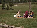 Натиснете снимката за да я уголемите

Име:DSC03237.jpg
Прегледи:157
Размер:124.7 КБ
ID:5175911