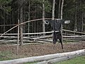 Натиснете снимката за да я уголемите

Име:DSC03242.jpg
Прегледи:149
Размер:198.7 КБ
ID:5175912