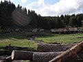 Натиснете снимката за да я уголемите

Име:DSC03253.jpg
Прегледи:134
Размер:154.1 КБ
ID:5175917