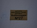 Натиснете снимката за да я уголемите

Име:DSC03265.jpg
Прегледи:135
Размер:53.4 КБ
ID:5175923