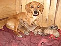 Натиснете снимката за да я уголемите

Име:DSC03410.jpg
Прегледи:264
Размер:177.8 КБ
ID:5176069