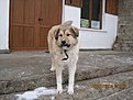 Натиснете снимката за да я уголемите

Име:IMG_0499.jpg
Прегледи:153
Размер:138.7 КБ
ID:5176238
