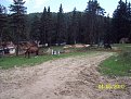 Натиснете снимката за да я уголемите

Име:pic001_004.JPG
Прегледи:149
Размер:169.0 КБ
ID:5176282
