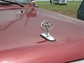 Натиснете снимката за да я уголемите

Име:Picture 140.jpg
Прегледи:239
Размер:74.7 КБ
ID:5177017