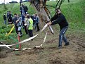 Натиснете снимката за да я уголемите

Име:DSC08742.jpg
Прегледи:161
Размер:236.8 КБ
ID:5177294