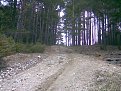 Натиснете снимката за да я уголемите

Име:Изобр017.jpg
Прегледи:476
Размер:201.0 КБ
ID:5178524