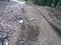 Натиснете снимката за да я уголемите

Име:Изобр015.jpg
Прегледи:494
Размер:213.3 КБ
ID:5178525