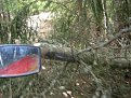 Натиснете снимката за да я уголемите

Име:qkooo 107.jpg
Прегледи:429
Размер:144.7 КБ
ID:5179247