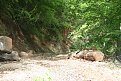 Натиснете снимката за да я уголемите

Име:Picture 075.jpg
Прегледи:158
Размер:220.7 КБ
ID:5180398
