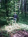 Натиснете снимката за да я уголемите

Име:Изображение0196.jpg
Прегледи:356
Размер:151.1 КБ
ID:5180898