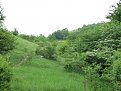 Натиснете снимката за да я уголемите

Име:IMG_1263.jpg
Прегледи:110
Размер:185.2 КБ
ID:5181531