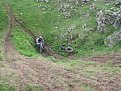 Натиснете снимката за да я уголемите

Име:IMG_1248.jpg
Прегледи:123
Размер:257.7 КБ
ID:5181537
