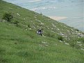 Натиснете снимката за да я уголемите

Име:IMG_1268.jpg
Прегледи:107
Размер:165.5 КБ
ID:5181546