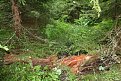Натиснете снимката за да я уголемите

Име:IMG_5347.JPG
Прегледи:215
Размер:1.06 МБ
ID:5187689