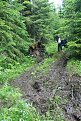 Натиснете снимката за да я уголемите

Име:IMG_5321.jpg
Прегледи:205
Размер:144.1 КБ
ID:5187698