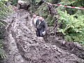 Натиснете снимката за да я уголемите

Име:DSC02902.jpg
Прегледи:223
Размер:219.2 КБ
ID:5188895