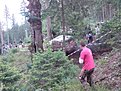Натиснете снимката за да я уголемите

Име:DSC02865.jpg
Прегледи:205
Размер:212.5 КБ
ID:5188896