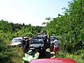 Натиснете снимката за да я уголемите

Име:Екстрийм 002.jpg
Прегледи:135
Размер:234.1 КБ
ID:5191521