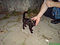 Натиснете снимката за да я уголемите

Име:DSC00532-1.JPG
Прегледи:84
Размер:73.0 КБ
ID:5196145