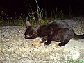 Натиснете снимката за да я уголемите

Име:DSC00536-1.JPG
Прегледи:81
Размер:89.6 КБ
ID:5196146