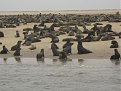 Натиснете снимката за да я уголемите

Име:IMG_3096.jpg
Прегледи:150
Размер:172.6 КБ
ID:5197046