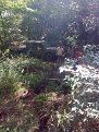 Натиснете снимката за да я уголемите

Име:Изображение0352.jpg
Прегледи:153
Размер:156.6 КБ
ID:5200241