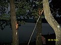 Натиснете снимката за да я уголемите

Име:Банкет на яз. Кам&amp;.jpg
Прегледи:163
Размер:148.7 КБ
ID:5200434