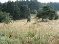 Натиснете снимката за да я уголемите

Име:DSC00313.jpg
Прегледи:403
Размер:230.1 КБ
ID:5201231