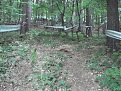 Натиснете снимката за да я уголемите

Име:DSC00326.jpg
Прегледи:370
Размер:207.3 КБ
ID:5201235