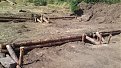 Натиснете снимката за да я уголемите

Име:22082010369.jpg
Прегледи:318
Размер:206.1 КБ
ID:5201735