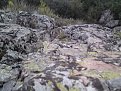 Натиснете снимката за да я уголемите

Име:DSC02528.jpg
Прегледи:68
Размер:164.0 КБ
ID:5204441
