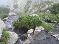 Натиснете снимката за да я уголемите

Име:IMG_5272 (855 x 642).jpg
Прегледи:129
Размер:131.4 КБ
ID:5204863