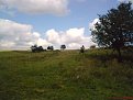 Натиснете снимката за да я уголемите

Име:DSC07332.jpg
Прегледи:105
Размер:111.6 КБ
ID:5206165