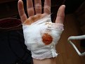 Натиснете снимката за да я уголемите

Име:DSC06536.jpg
Прегледи:918
Размер:100.8 КБ
ID:5208795