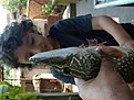Натиснете снимката за да я уголемите

Име:DSCN0916.jpg
Прегледи:417
Размер:115.3 КБ
ID:5210225