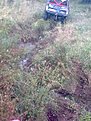 Натиснете снимката за да я уголемите

Име:Изображение0615.jpg
Прегледи:260
Размер:102.3 КБ
ID:5210272