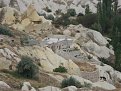 Натиснете снимката за да я уголемите

Име:Capadokia 030.jpg
Прегледи:248
Размер:140.1 КБ
ID:5212102