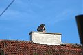 Натиснете снимката за да я уголемите

Име:image0001.jpg
Прегледи:506
Размер:300.5 КБ
ID:5212924