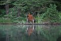 Натиснете снимката за да я уголемите

Име:DSC_0782.jpg
Прегледи:162
Размер:178.9 КБ
ID:5213024