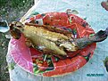 Натиснете снимката за да я уголемите

Име:PICT0214.jpg
Прегледи:428
Размер:194.7 КБ
ID:5213275