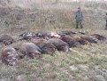Натиснете снимката за да я уголемите

Име:DSC05292.jpg
Прегледи:354
Размер:201.6 КБ
ID:5213822