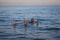 Натиснете снимката за да я уголемите

Име:dead sea 021.jpg
Прегледи:248
Размер:114.9 КБ
ID:5213888