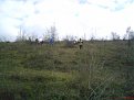 Натиснете снимката за да я уголемите

Име:DSC07416.jpg
Прегледи:117
Размер:116.8 КБ
ID:5221324