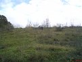 Натиснете снимката за да я уголемите

Име:DSC07415.jpg
Прегледи:118
Размер:103.2 КБ
ID:5221330