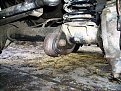 Натиснете снимката за да я уголемите

Име:IMGP6102.jpg
Прегледи:418
Размер:240.3 КБ
ID:5222161